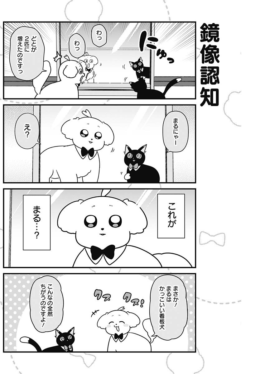 Maru-kun - Hataraku Maltese - Chapter 29 - Page 6